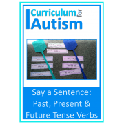 Present, Past & Future Tense Verbs, Say a Sentence